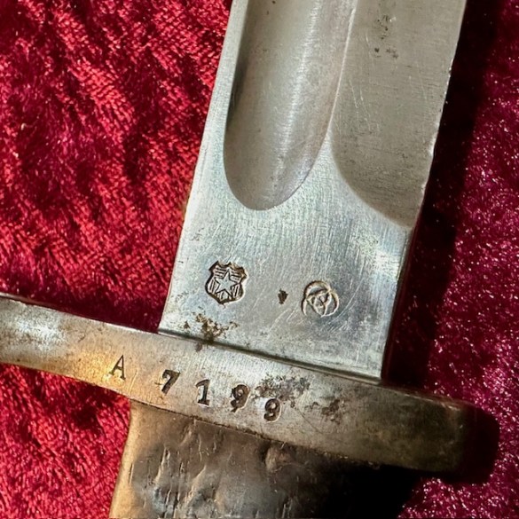 Chilean Bayonet 3
